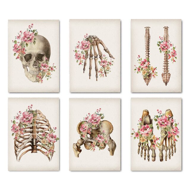 Floral Skeletal Anatomy Posters